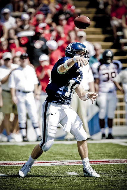 英超热刺V 英超热刺V