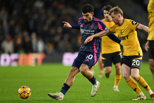 对独行侠而 对独行侠而